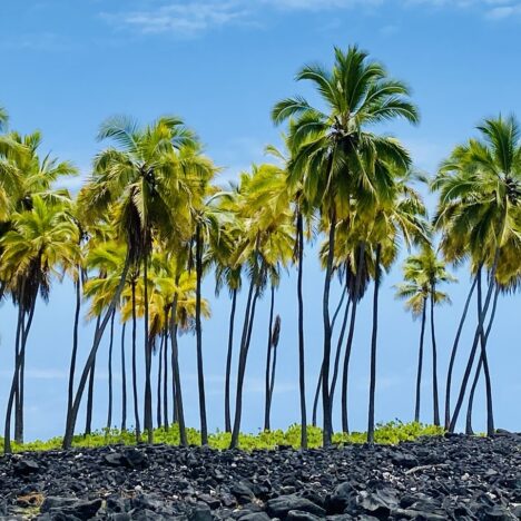 5 Days to Fall in Love with Maui: Mesmerizing Landscapes and More